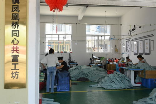 村里建起“沒有圍墻的工廠”——浙江臨?！肮哺还し弧币约夹g(shù)服務助力農(nóng)民家門口就業(yè)增收