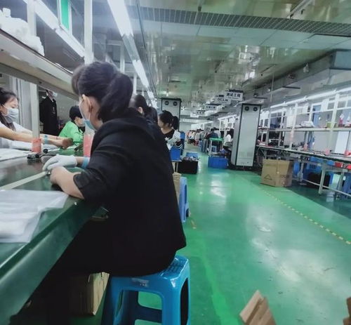 破解用工荒迷思 從浙江技術服務看勞動力市場的價值回歸